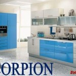 8 Poze zodii – Scorpion