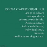 10 Poze zodii CAPRICORN