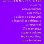 12 Poze pentru zodii PESTI