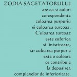 9 Poze zodii SAGETATOR