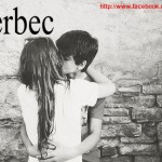 1 Berbec