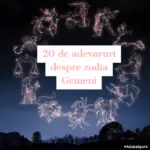 20_gemeni