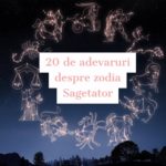 20_sagetator