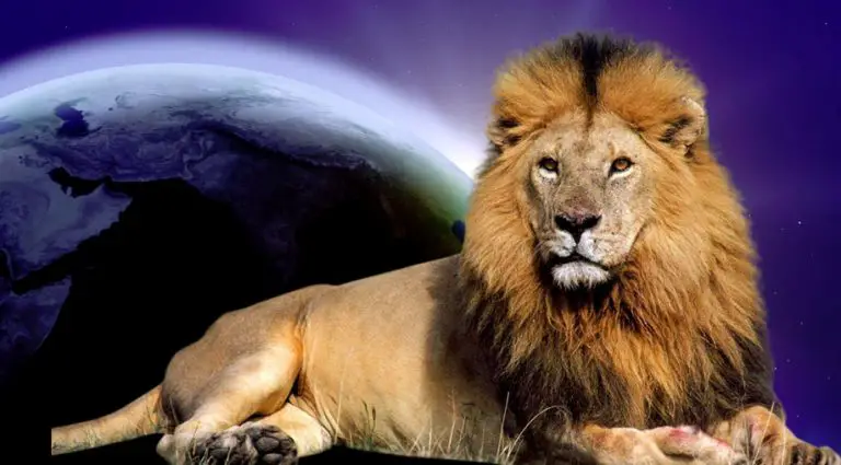 Horoscop 2019. Ce te asteapta in viitor Horoscop 2019. Ce te asteapta in viitor