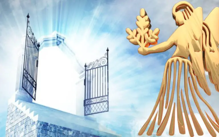 Astrologii spun că vor ajunge direct în Rai – 3 zodii cu cel mai curat suflet Astrologii spun că vor ajunge direct în Rai – 3 zodii cu cel mai curat suflet