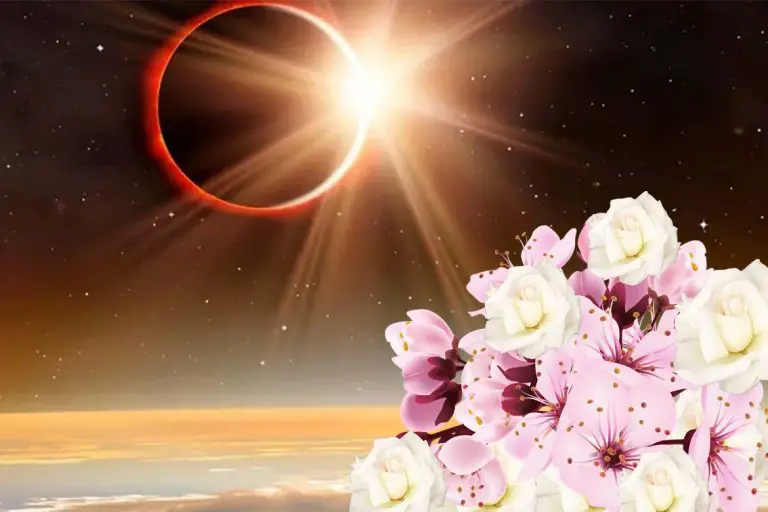 Horoscop special: Soarele intra in RAC. Cum sunt afectate zodiile.