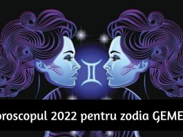 horoscopul anului 2022 zodia gemeni