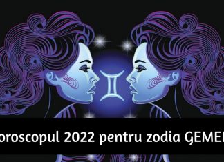 horoscopul anului 2022 zodia gemeni