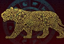 horoscop chinezesc anul 2022 pentru toate zodiile
