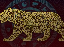 horoscop chinezesc anul 2022 pentru toate zodiile
