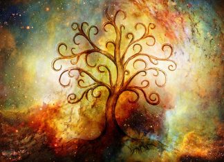 zodiacul arboricol special pentru femei