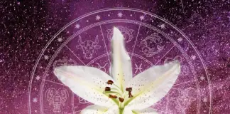 horoscopul zodiacul floral