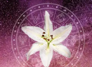 horoscopul zodiacul floral