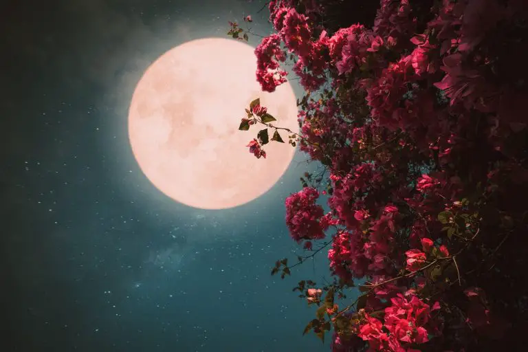 HOROSCOP SPECIAL: Luna plina capsunie in SAGETATOR produce efecte puternice pentru toate zodiile! HOROSCOP SPECIAL: Luna plina capsunie in SAGETATOR produce efecte puternice pentru toate zodiile!