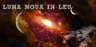 luna noua in leu 2022