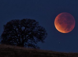Horoscop special pentru august 2026: eclipsa de Soare, eclipsa de Luna si inceputul perioadei de umbra a lui Venus. Previziuni pentru toate zodiile