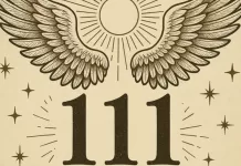 Portalul 111 se deschide o singura data asa: Pe 11 ianuarie, Universul nu mai accepta amanari!