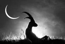 Prima LUNA NOUA a anului! RESTART pentru toate ZODIILE din 18 ianuarie 2026. Ce aduce Luna noua in Capricorn