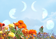 SOC! Primavara 2026 Reseteaza Totul: Afla care sunt cele 3 zodii care dau Lovitura si cine trebuie sa se pazeasca