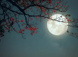 Luna Plina din noaptea de 1 spre 2 aprilie schimba destinele: Zodiile lovite de energie karmica si nativii care primesc protectie divina